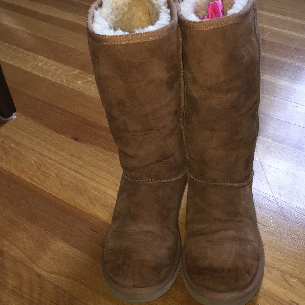 Tall Chestnut Uggs